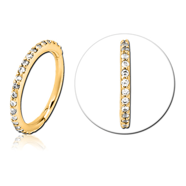 18g CZ Gold Hinged Segment Ring Hinged Rings 18g - 5/16" diameter (8mm) Gold