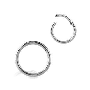 20g Stainless Steel Hinged Segment Ring Hinged Rings 20g - 1/4" diameter (6mm) Stainless Steel