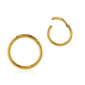 16g Gold Hinged Segment Ring Hinged Rings 16g - 1/4" diameter (6mm) Gold