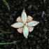 Marquise Opal Flower 14k Threadless End Threadless Ends 7.7mm x 7.7mm White Opal