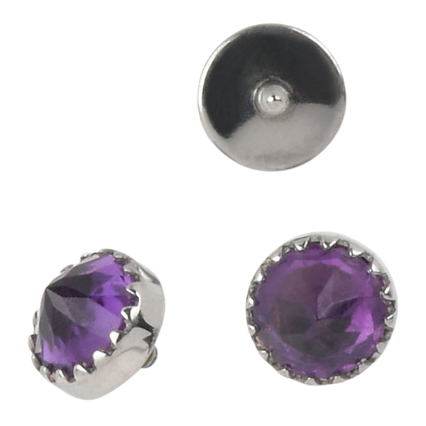 16g Crown Faceleted Amethyst Titanium End