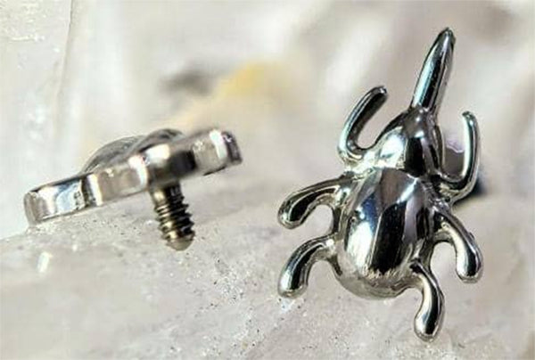16g Horned Beetle Titanium End Internal Ends 16 gauge - xmm High Polish (silver)