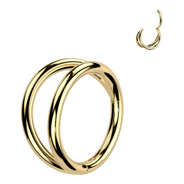 18g Titanium Double Hinged Ring Hinged Rings 18g - 5/16