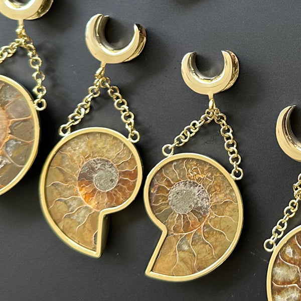 Ammonite Dangle Brass Saddle Spreaders Plugs 00 gauge (10mm) Yellow Brass