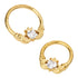 Claddagh Gold Titanium Hinged Ring Hinged Rings 16g - 5/16" diameter (8mm) Clear