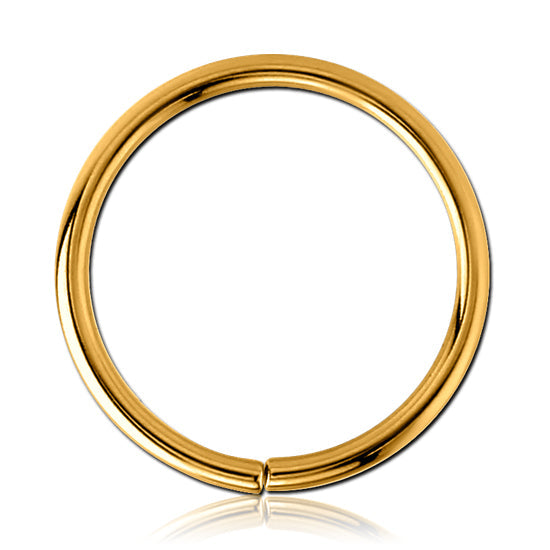 20g Gold Continuous Ring Continuous Rings 20g - 1/4" diameter (6mm) Gold