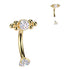 Ball Cluster Titanium Eyebrow Barbell