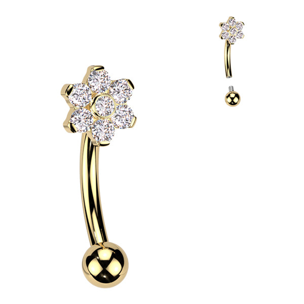 Flower CZ Titanium Eyebrow Barbell