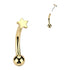 Star Top Threadless Curved Barbell