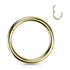 16g Gold Titanium Hinged Segment Ring Hinged Rings 16g - 1/4" diameter (6mm) Gold Titanium