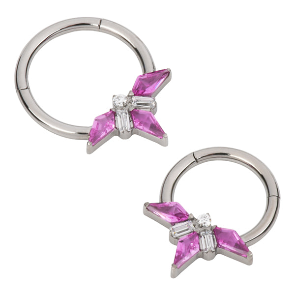 Pink Compass Titanium Hinged Ring Hinged Rings 16g - 5/16