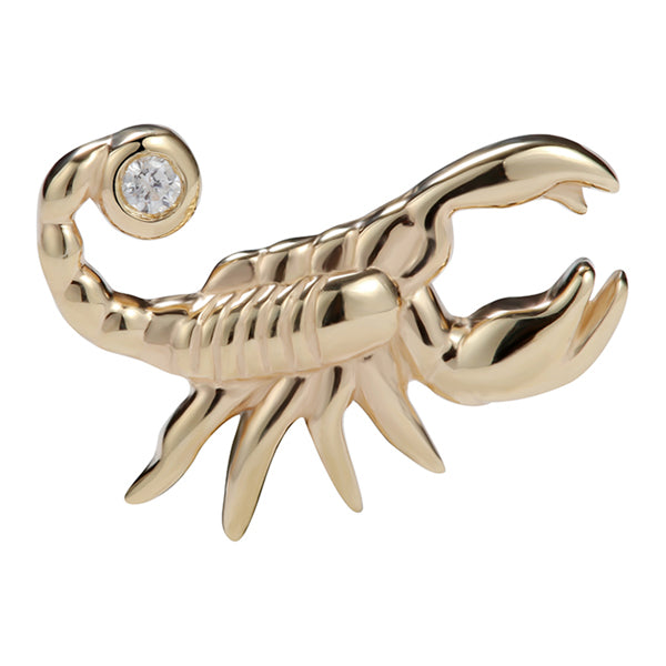 Scorpion 14k Threadless End