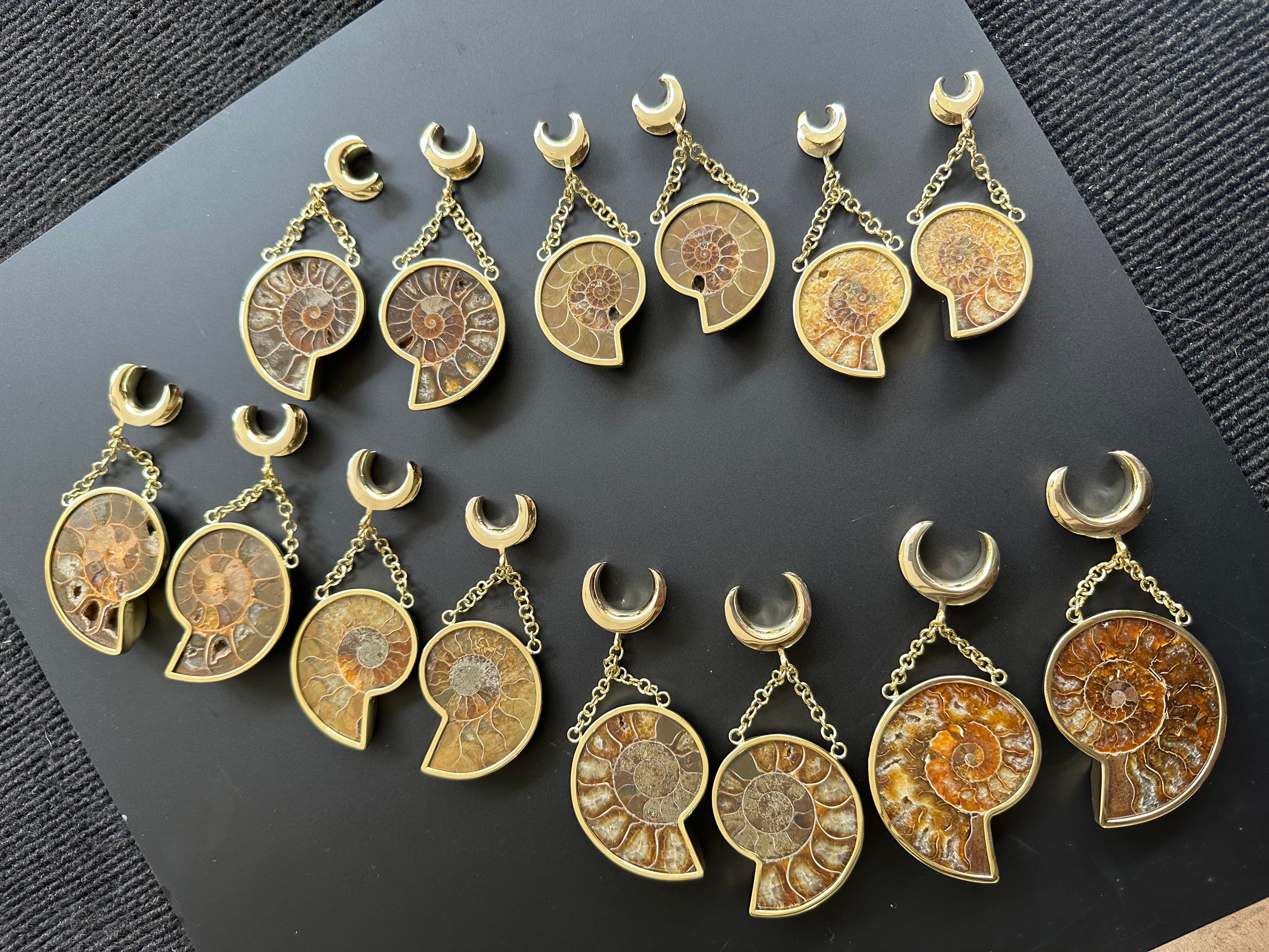 Ammonite Dangle Brass Saddle Spreaders Plugs