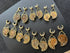 Ammonite Dangle Brass Saddle Spreaders Plugs