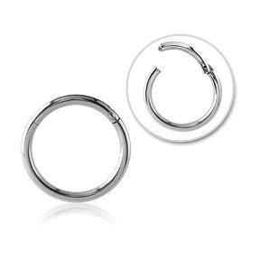 20g Titanium Hinged Segment Ring Hinged Rings 20g - 1/4" diameter (6mm) High Polish (silver)