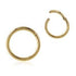 20g Zircon Gold Hinged Segment Ring Hinged Rings 20g - 5/16" diameter (8mm) Zircon Gold