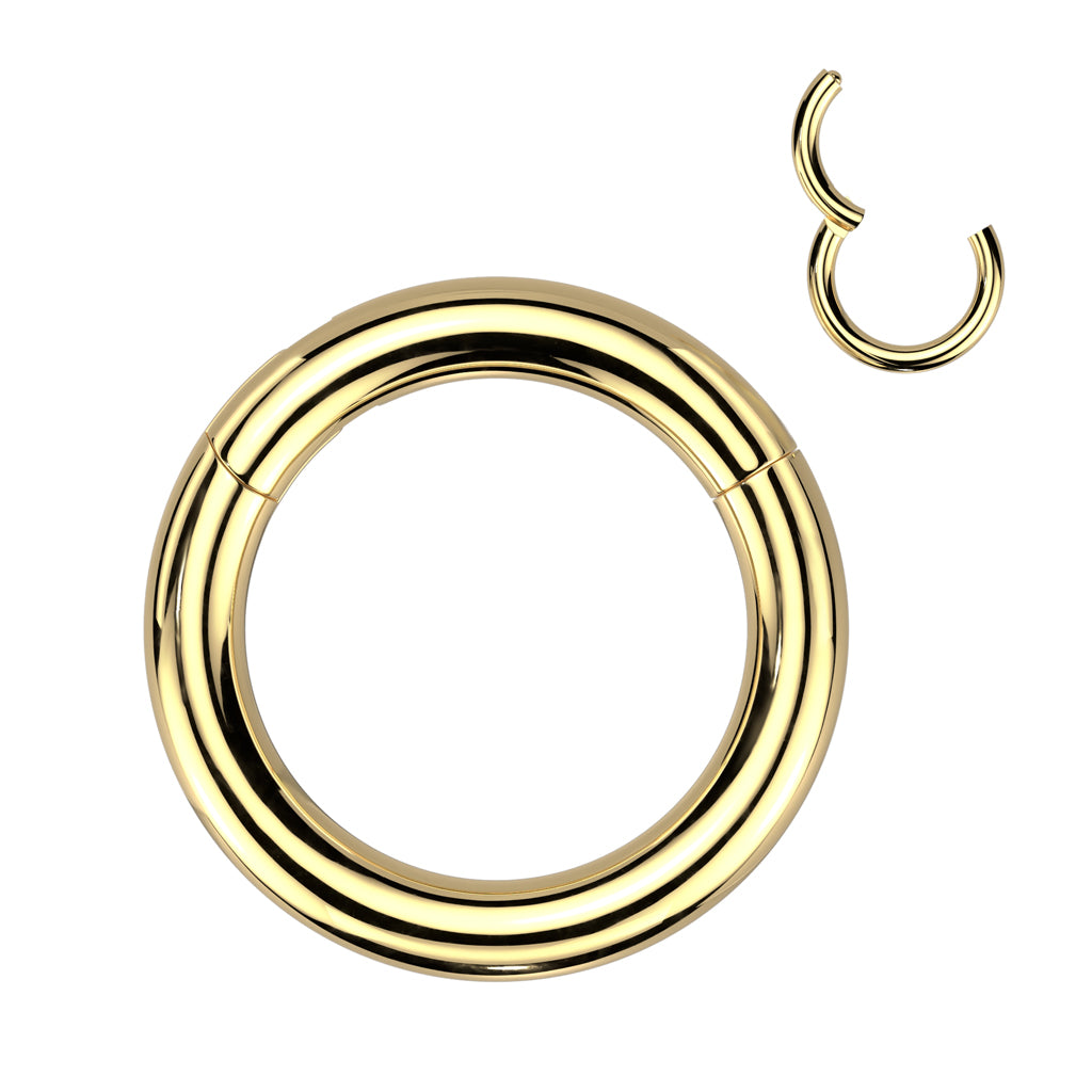 8g Gold Titanium Hinged Segment Ring Hinged Rings 8g (3mm) - 3/8" diameter (10mm) Gold