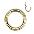 8g Gold Titanium Hinged Segment Ring Hinged Rings 8g (3mm) - 3/8" diameter (10mm) Gold