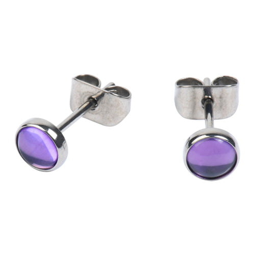 Amethyst Titanium Stud Earrings Earrings 20 gauge Amethyst