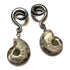 Ammonite Stainless Hangers Ear Weights  