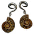 Ammonite Stainless Hangers Ear Weights 6 gauge (4mm) Stainless Steel