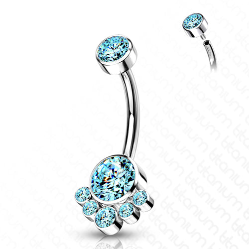 Cluster CZ Titanium Belly Barbell Belly Ring 14g - 3/8