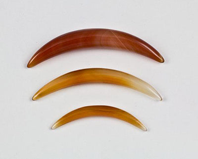 Carnelian Septum Tusk by Oracle Body Jewelry Septum Tusks 8 gauge (3mm) Carnelian
