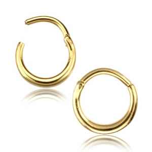 Forged Hinged Segment Ring Hinged Rings 16g - 5/16" diameter (8mm) Gold