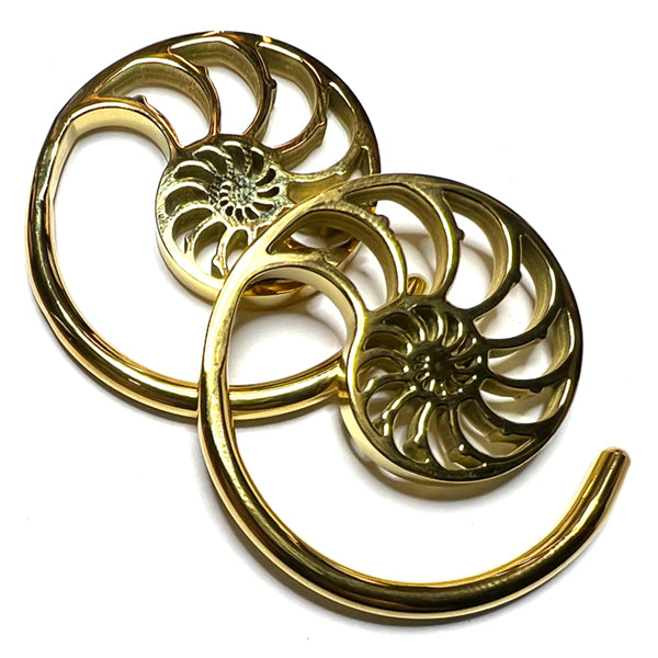 Ammonite Gold Spirals Plugs 6 gauge (4mm) Gold