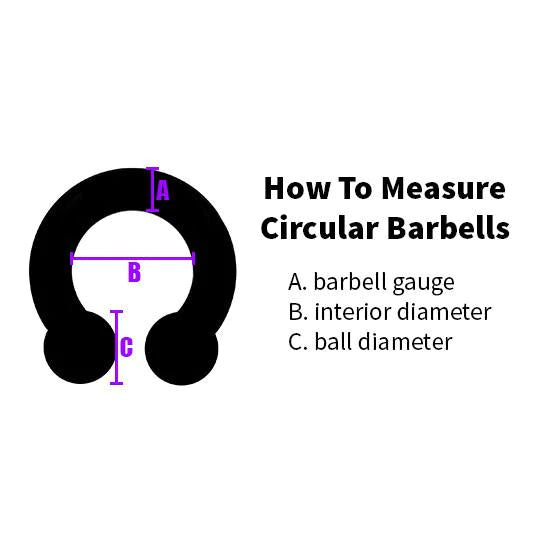 8g Stainless Circular Barbell Circular Barbells  