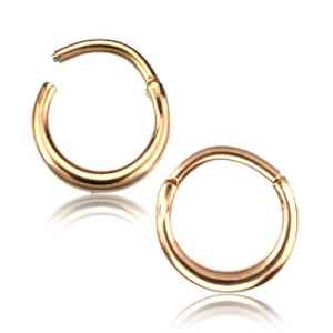 Forged Hinged Segment Ring Hinged Rings 16g - 5/16" diameter (8mm) Rose Gold