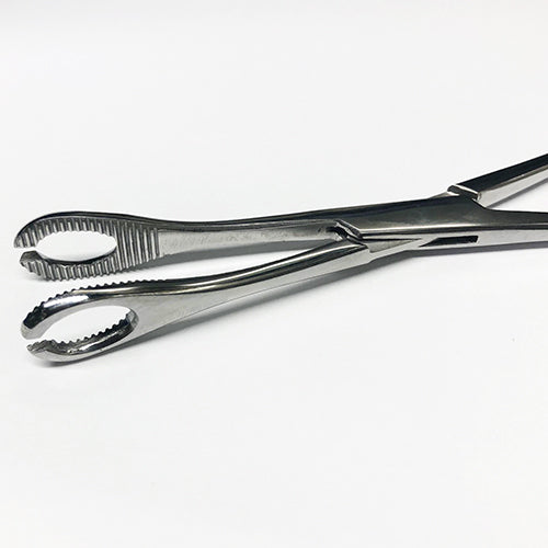 Sponge Forceps (Standard or Slotted) Tools Slotted Stainless Steel
