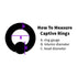 14g Rainbow Titanium Captive Bead Ring Captive Bead Rings  
