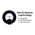 Titanium Captive CZ Tri-Bead Ring Captive Bead Rings  