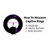 8g Captive Bead Ring by Body Circle Designs Captive Bead Rings  
