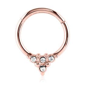 CZ Point Rose Gold Hinged Segment Ring Hinged Rings 16g - 5/16" diameter (8mm) Clear