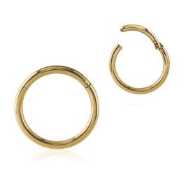 16g Zircon Gold Hinged Segment Ring Hinged Rings 16g - 5/16" diameter (8mm) Zircon Gold