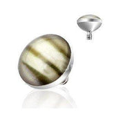 Shell Disc Tops Stainless Shell Dermal Tops | Tulsa Body Jewelry