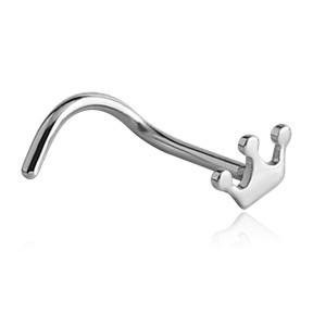 Crown Stainless Nostril Screw Nose  