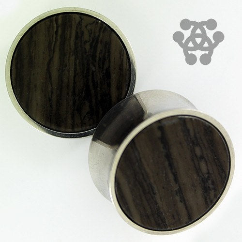 Fossil Wood & Stainless Steel Plugs Plugs 7/8 inch (22mm) Fossil Wood