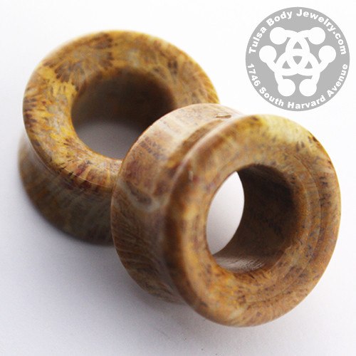 Fossilized Coral Eyelets by Oracle Body Jewelry Plugs 0 gauge (8mm) Fossilized Coral