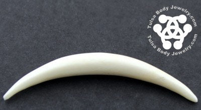 Bone Septum Tusk by Oracle Body Jewelry Septum Tusks  
